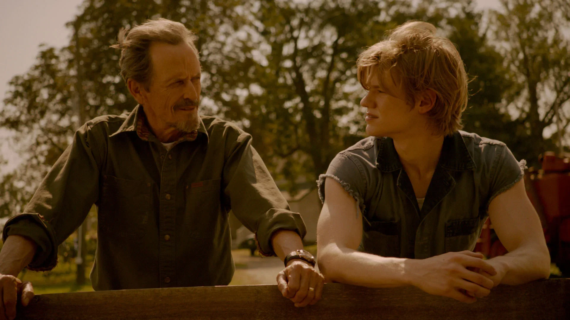 Wolves 2014 Watch Wolves (2014) | Ketchup Entertainment